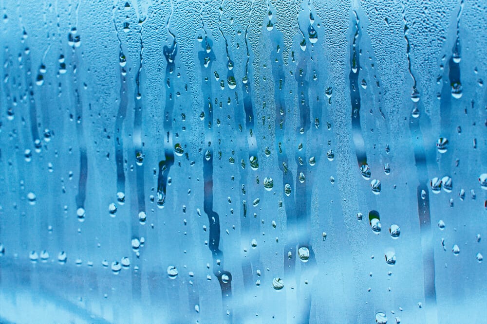 Fuktmätning besiktning och återställning